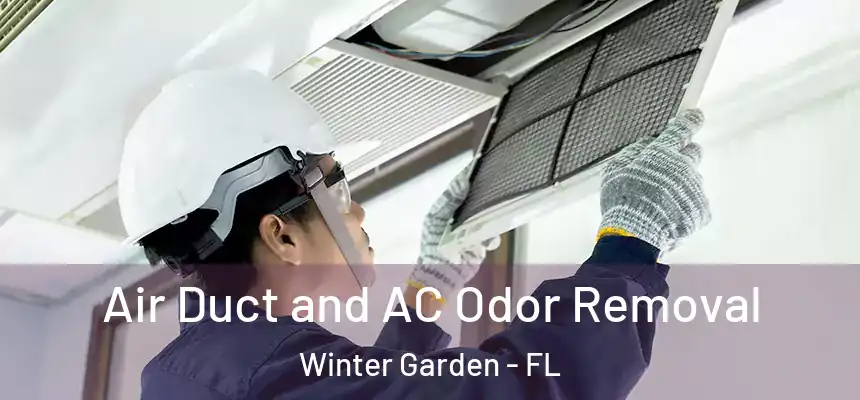  Air Duct and AC Odor Removal Winter Garden - FL
