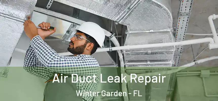  Air Duct Leak Repair Winter Garden - FL