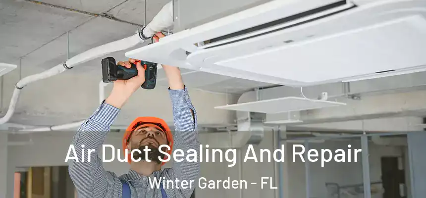 Air Duct Sealing And Repair Winter Garden - FL