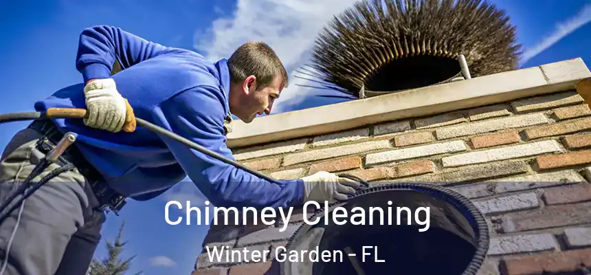  Chimney Cleaning Winter Garden - FL