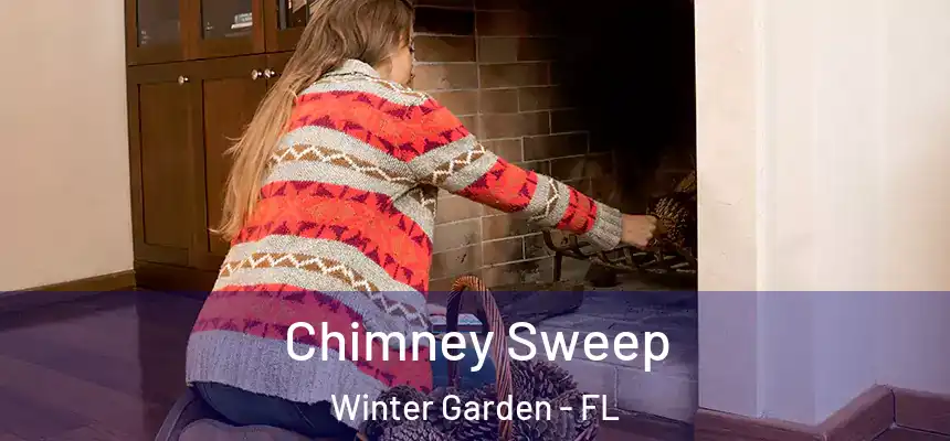  Chimney Sweep Winter Garden - FL
