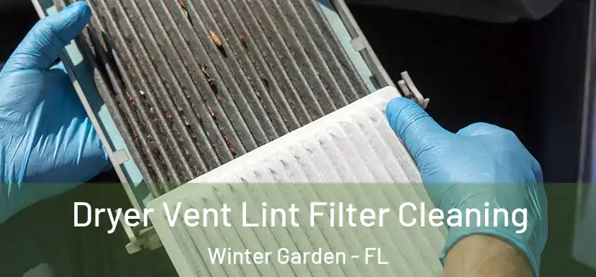  Dryer Vent Lint Filter Cleaning Winter Garden - FL