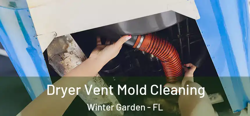 Dryer Vent Mold Cleaning Winter Garden - FL