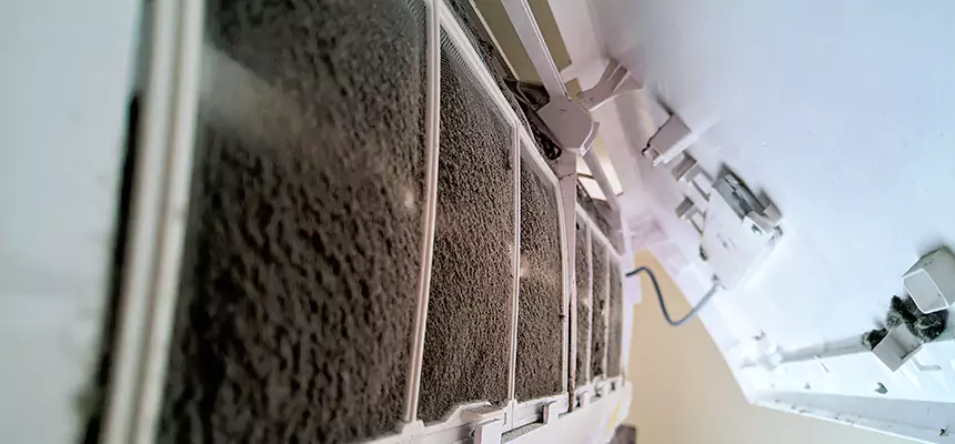 Preventive Air Duct Bacteria Removal in Winter Garden