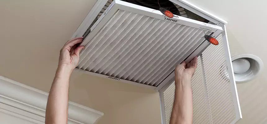 Preventive Cockroach-Proofing for Ducts in Winter Garden