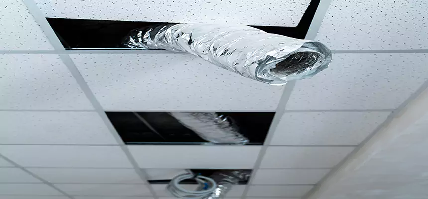 Affordable HVAC Sanitizing After Pest Removal in Winter Garden