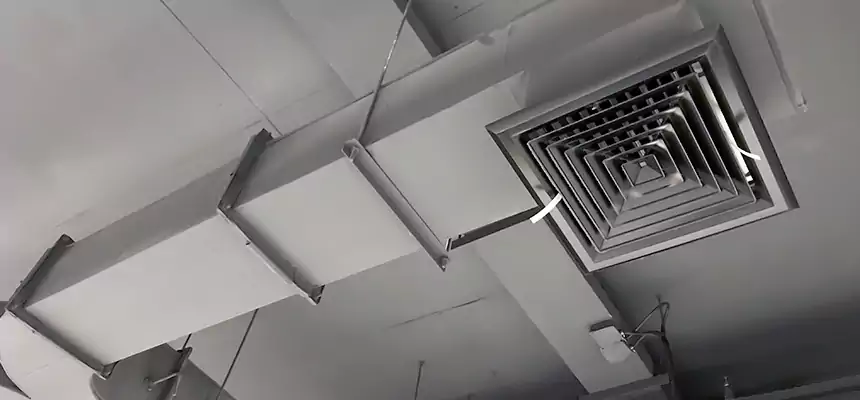 Restorative Allergy Relief Vent Cleaning – Coil, Blower & Housing Detail in Winter Garden