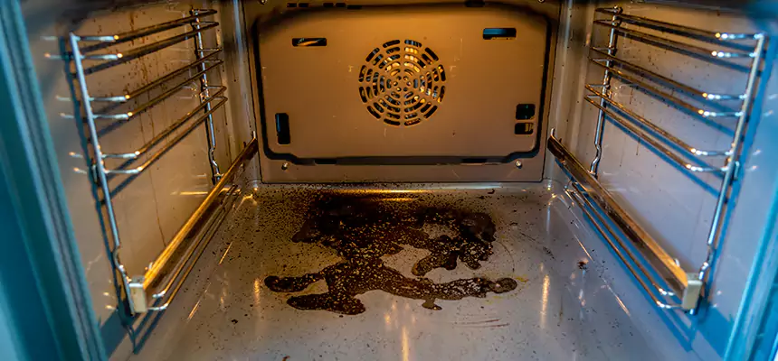 Our Dryer Vent Mold Cleaning Services in Bartow, FL