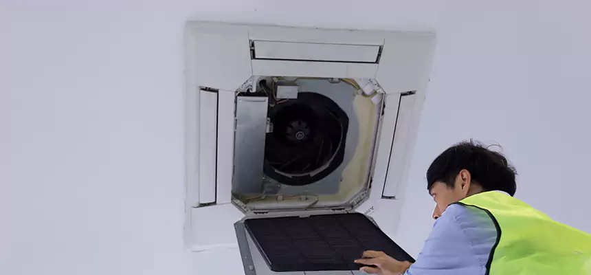 Our Dryer Vent Sanitization Service Services in Bartow, FL