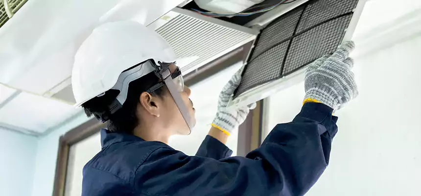 Our Mold & Mildew Removal from Air Ducts Services in Winter Garden, FL