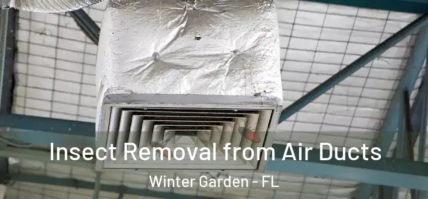 Insect Removal from Air Ducts Winter Garden - FL