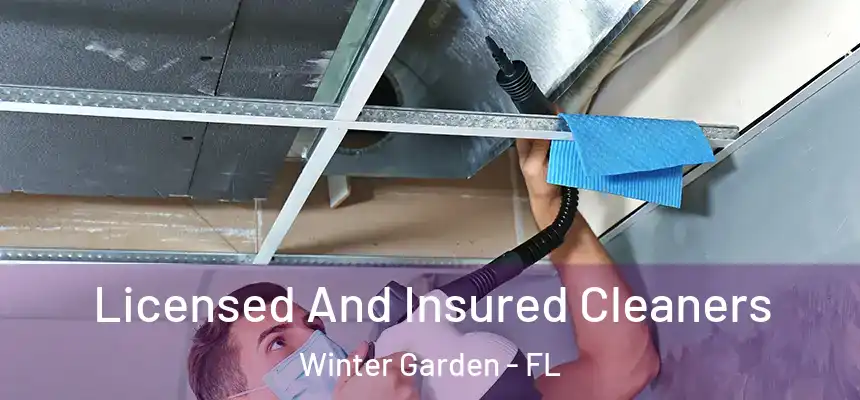  Licensed And Insured Cleaners Winter Garden - FL