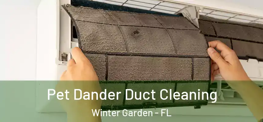  Pet Dander Duct Cleaning Winter Garden - FL