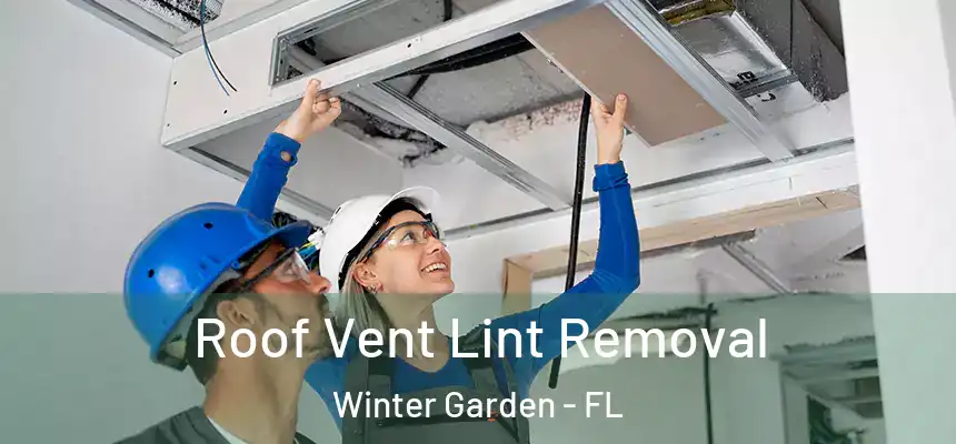  Roof Vent Lint Removal Winter Garden - FL