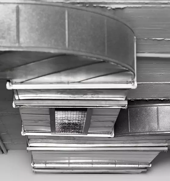 Professional Air Duct Pet Hair Removal in Winter Garden, FL