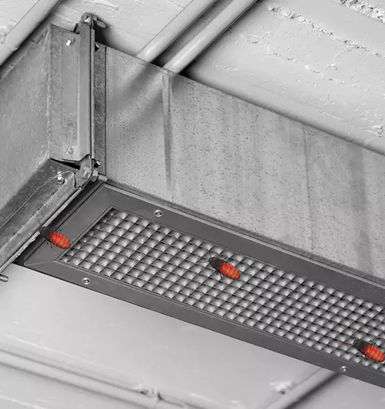 Affordable Insect Removal from Air Ducts in Bartow, FL