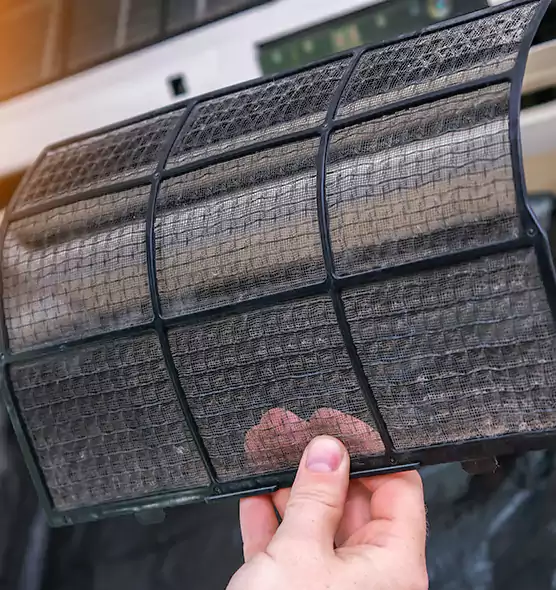 About Pet Dander Duct Cleaning in Bartow, FL