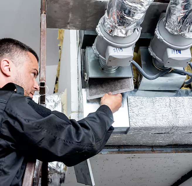 Why Homeowners & Businesses Trust Us in Winter Garden, FL?