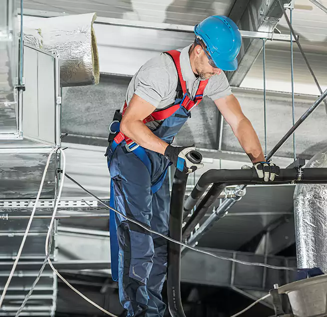 Why Homeowners & Businesses Trust Us in Winter Garden, FL?