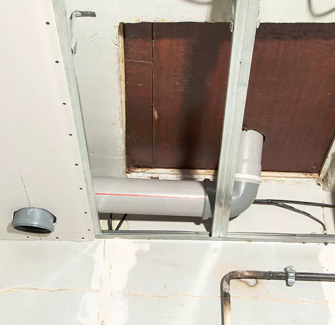 Why Homeowners & Businesses Trust Us in Winter Garden, FL?