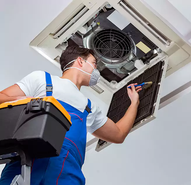 Why Homeowners & Businesses Trust Us in Winter Garden, FL