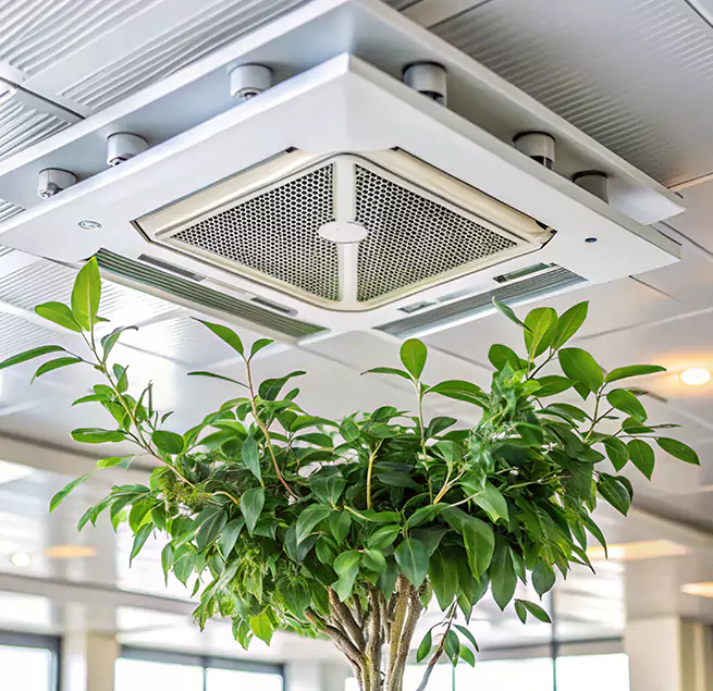 Why Homeowners & Businesses Trust Us in Winter Garden, FL