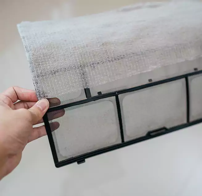 Why Homeowners & Businesses Trust Us in Winter Garden, FL?