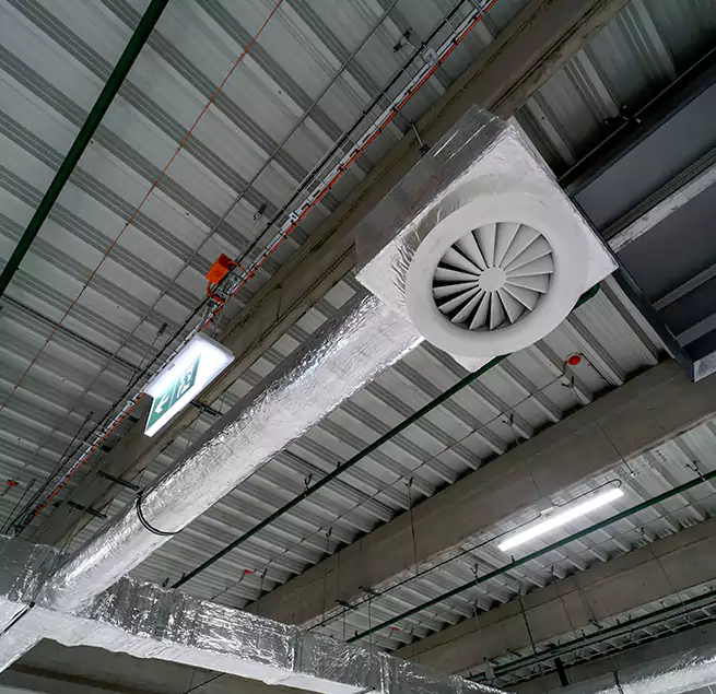 Why Homeowners & Businesses Trust Us in Winter Garden, FL