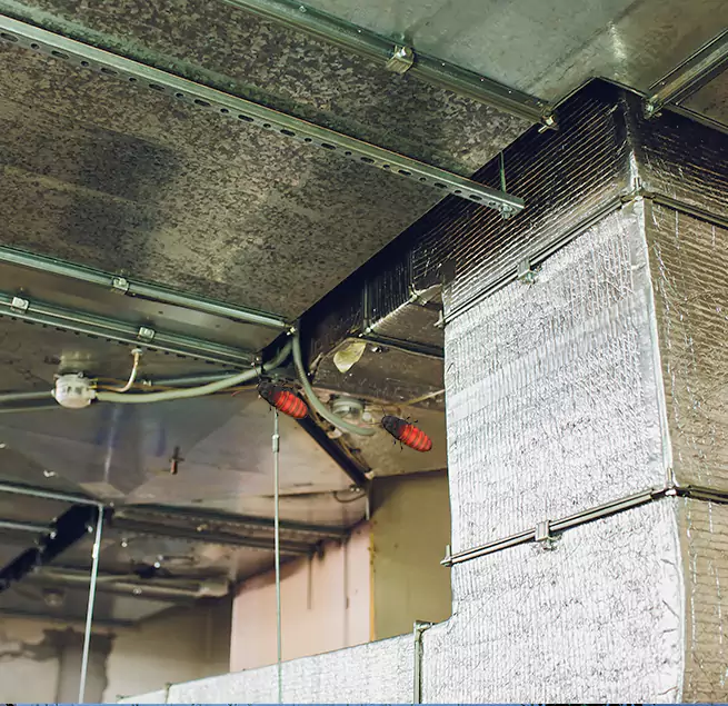 Why Homeowners & Businesses Trust Us Winter Garden, FL?