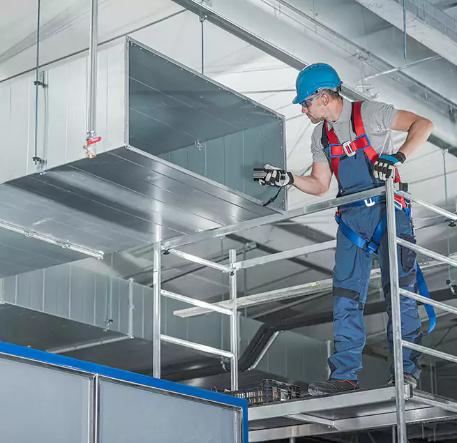 Why Homeowners & Businesses Trust Us in Winter Garden, FL?