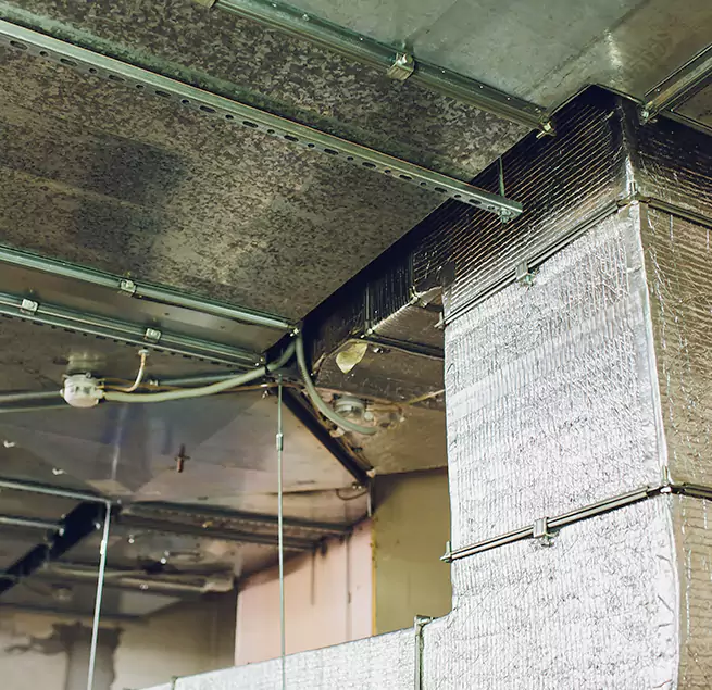 Why Homeowners & Businesses Trust Us in Winter Garden, FL?