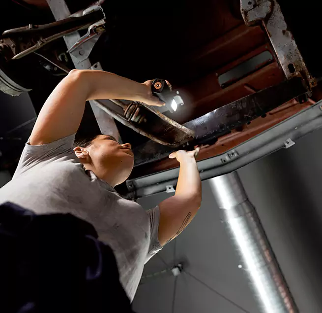 Why Homeowners & Businesses Trust Us Winter Garden, FL