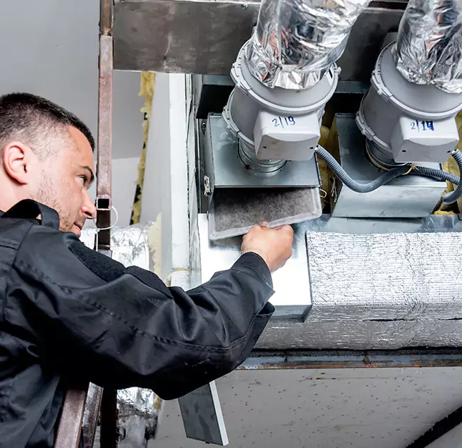 Why Homeowners & Businesses Trust Us in Winter Garden, FL?