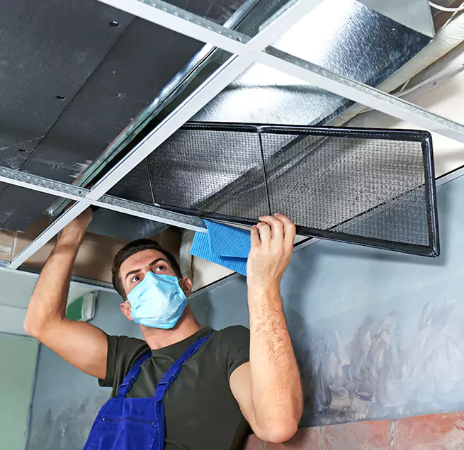  Why Homeowners Businesses Trust Us  in Winter Garden, FL?